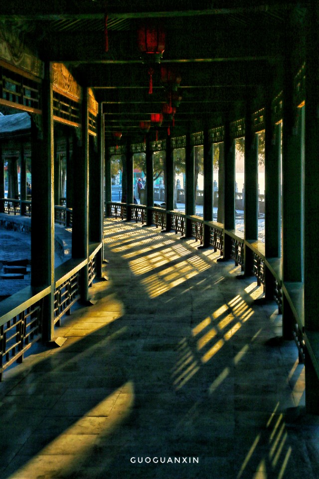 《晨辉情未了，光影长廊再写意》