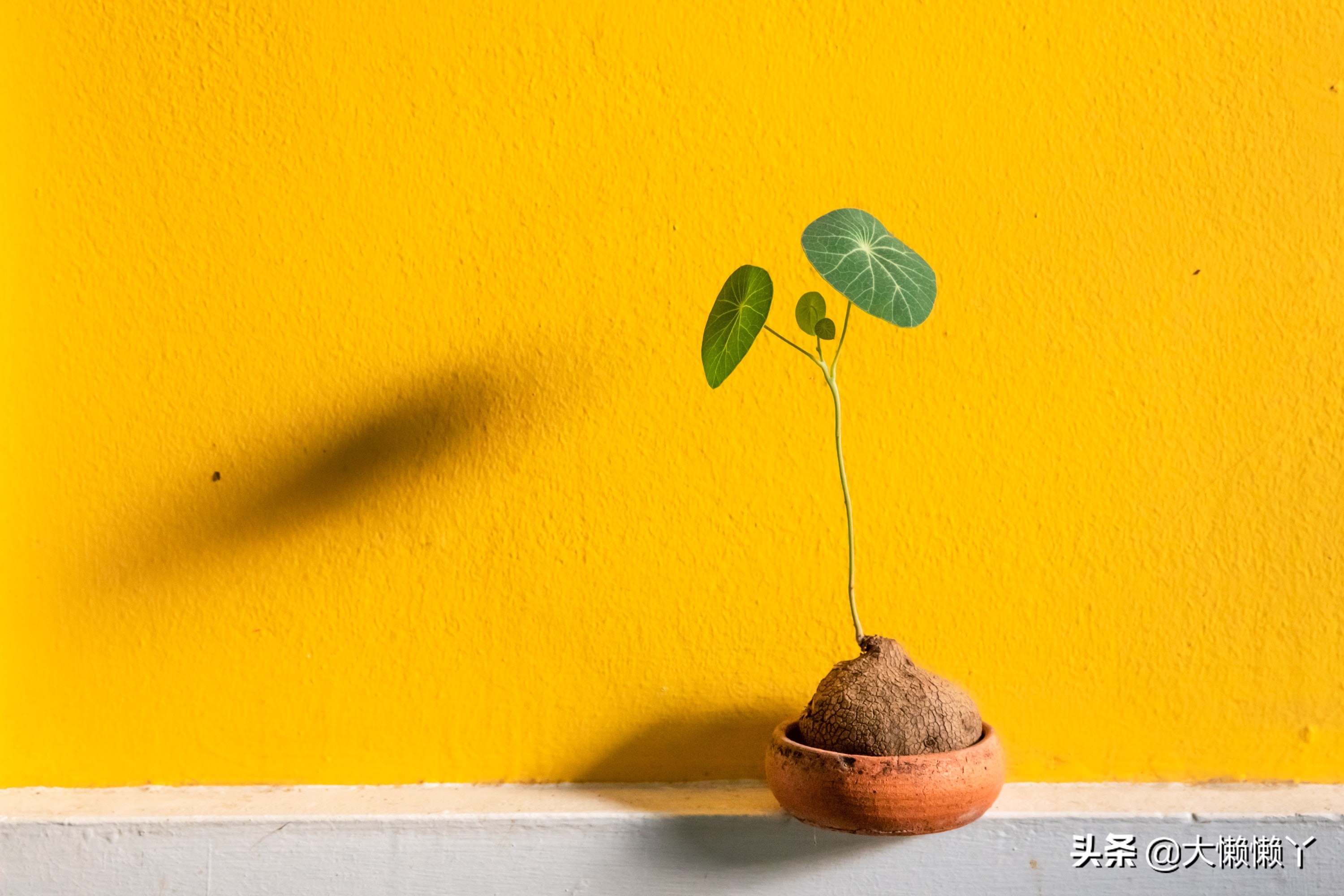 山东专升本财务管理专业录取分数,专升本国贸专业可以报财务管理吗