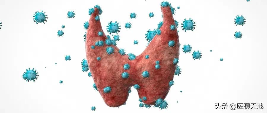 甲状腺髓样癌是恶性肿瘤么,关于甲状腺罕见病