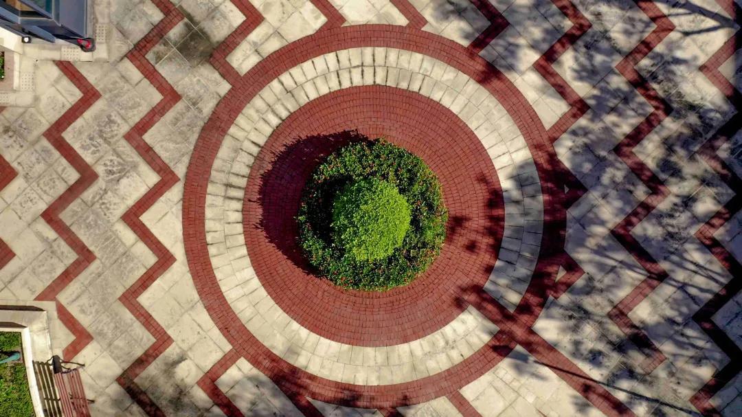 「周末好去处」带你拍澳门大学美景