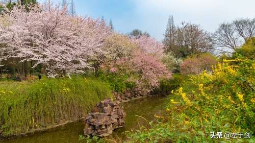 苏州上方山森林公园作文,苏州上方山国家森林公园电话