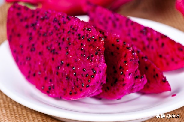 火龙果能在长江中下游一带种植吗,火龙果种植盆栽方法多长时间结果