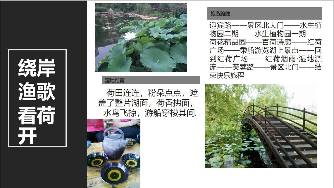 山东滕州旅游排名,山东滕州旅游视频