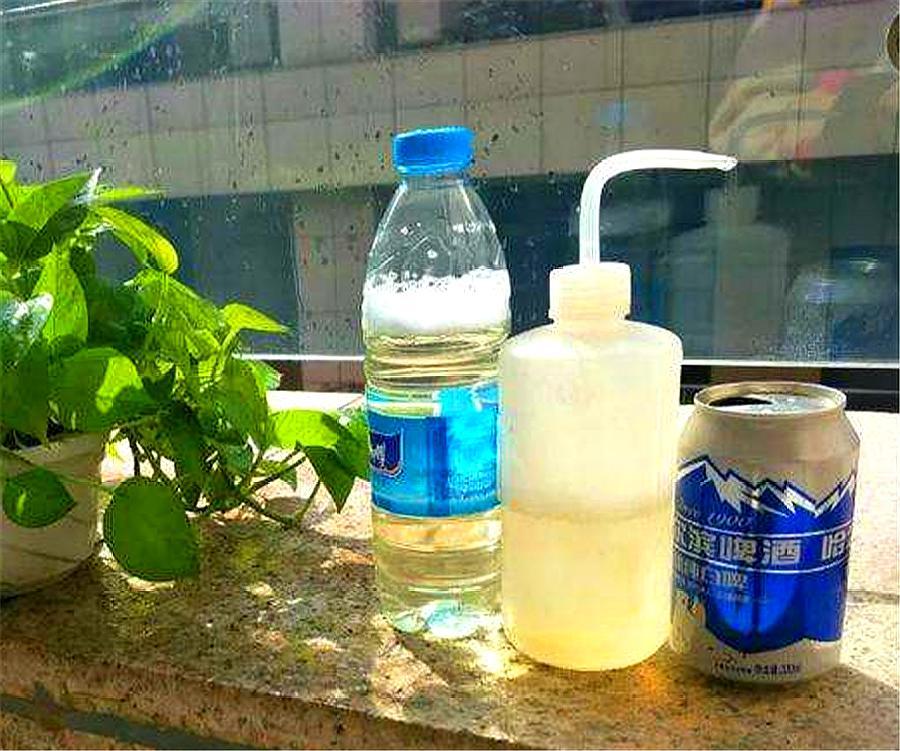 金鱼吊兰不开花的原因及解决方法,金鱼吊兰开花的时候需要施肥吗