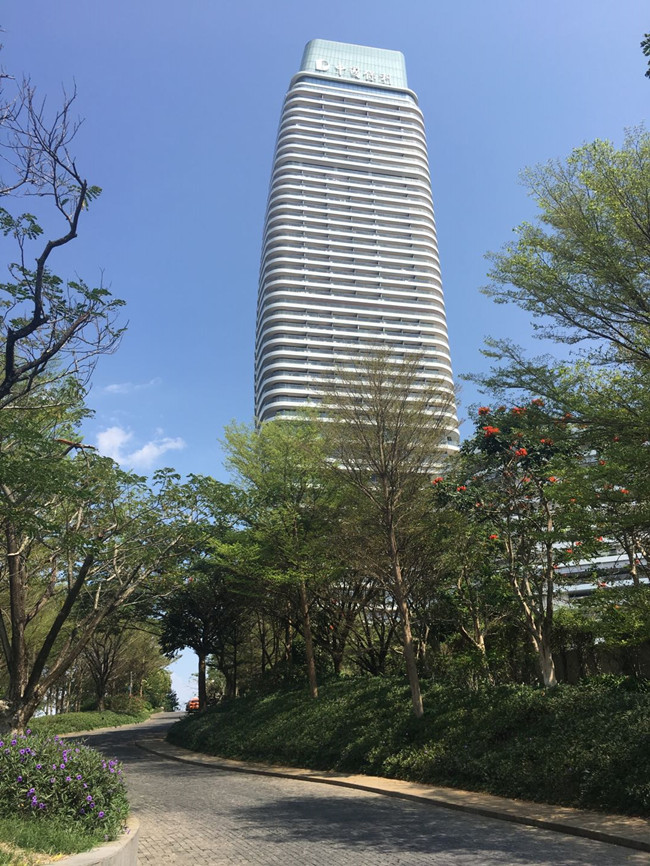 一条海棠路，半座三亚城：“海岛第一路”背后蕴藏怎样的资源密码