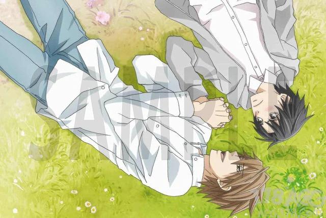 世界第一初恋求婚篇剧场版完整,世界第一初恋求婚篇结局