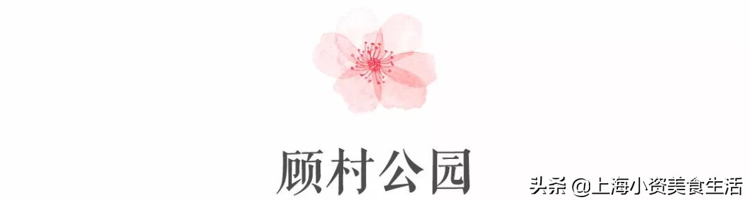 顾村公园一年一度赏樱,顾村公园赏樱点