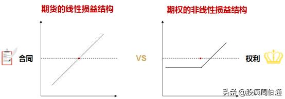 期货和期权的基本知识,期货期权详细解读