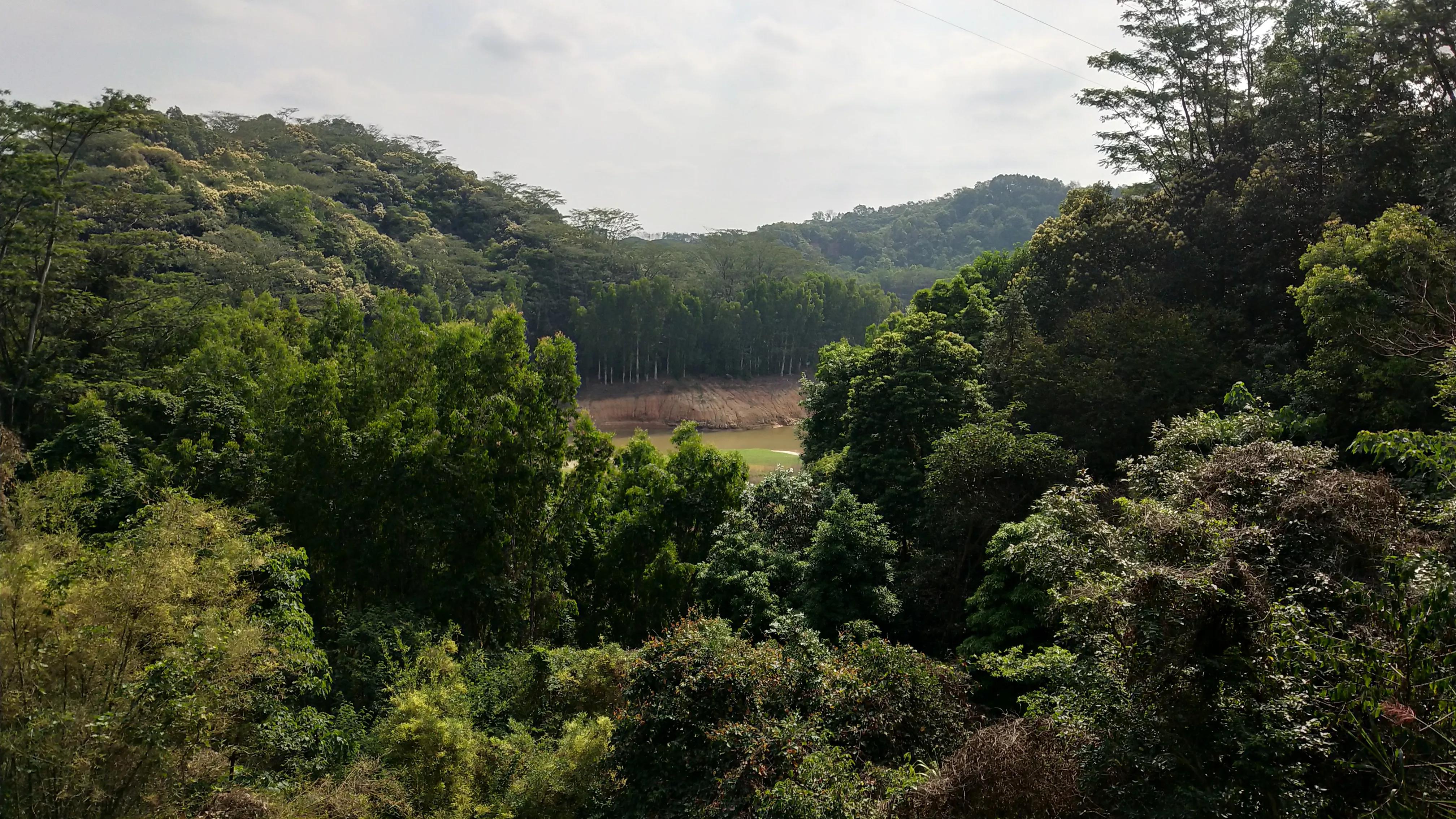 深圳羊台山风景区,深圳羊台山
