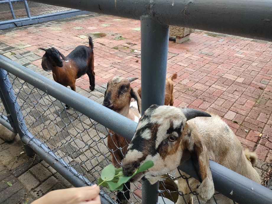 沈阳优待证免费的景点,沈阳70岁以上免费景点