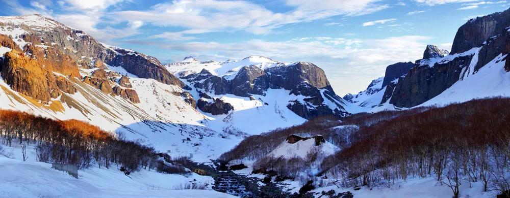 林业生态旅游科普,林草科普