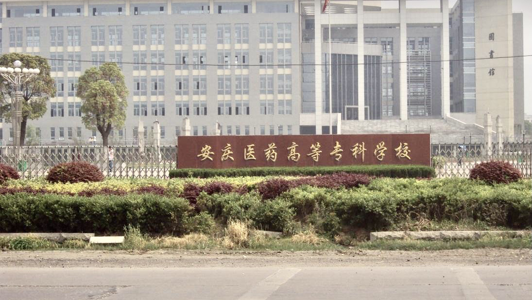 安庆医药高等专科学校升本,安庆医药高等专科学校升本科学校