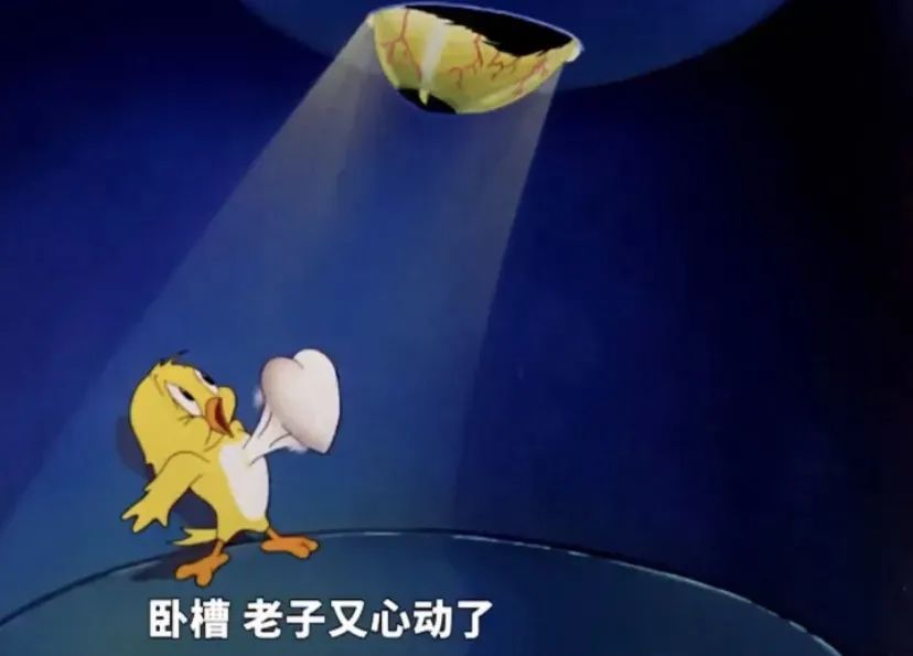 网购衣服怎么挑质量好合集,网购衣服怎么选正品