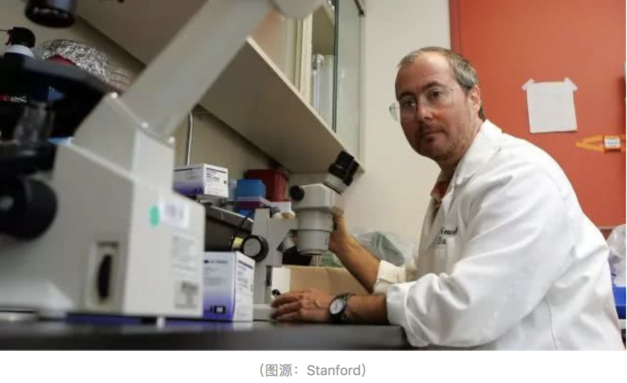 papi自爆产后抑郁,papi酱被吐槽