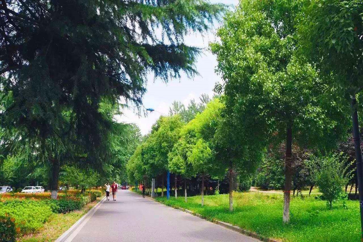 江苏一本非重点大学,江苏省的一本大学都有哪些