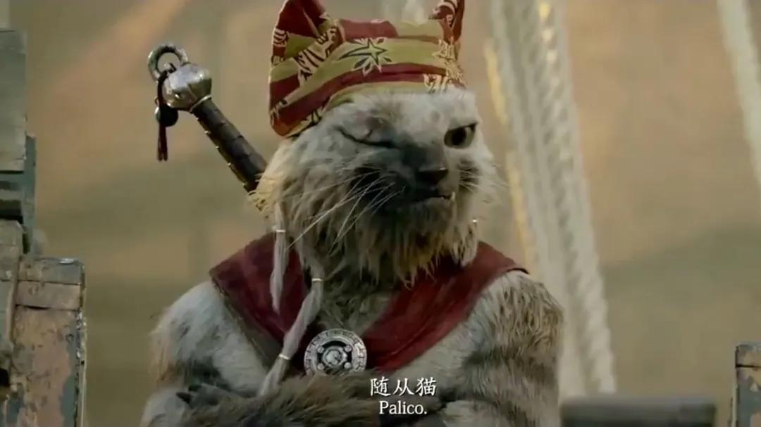 你好，请收下这份12月看片不踩雷指南