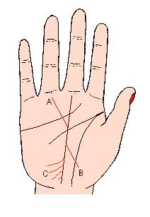 手相解密,手相掌纹分析学