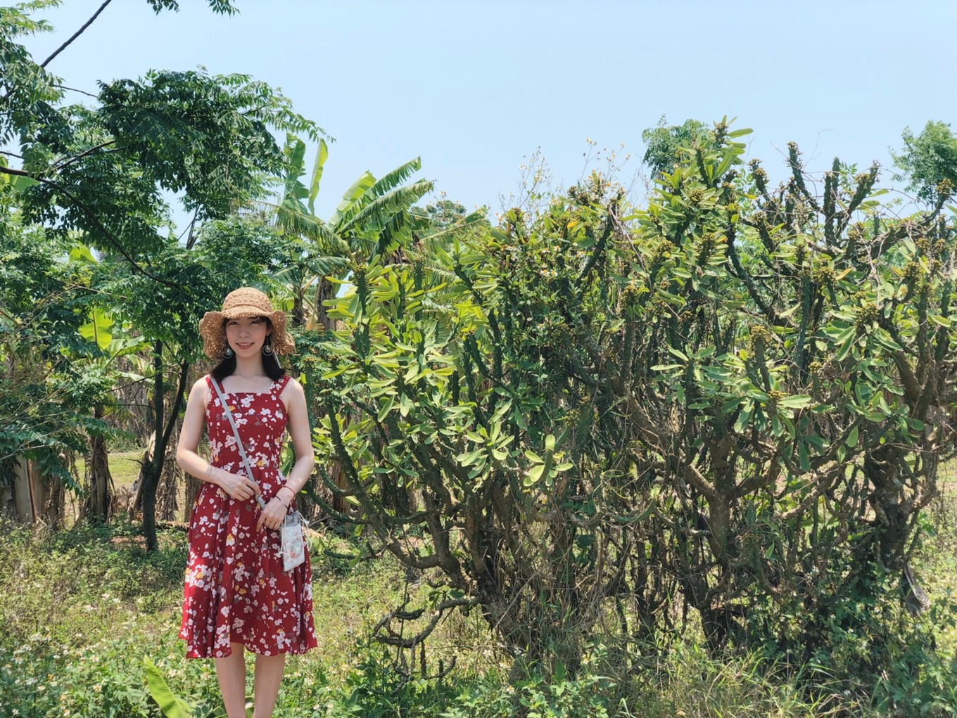 详细北海涠洲岛4天3晚旅游攻略,北海至涠洲岛船票攻略