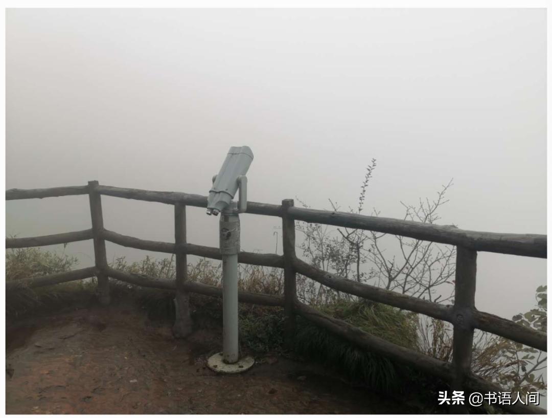 在山上被猴子追,张家界黄石寨的猴子抢东西视频