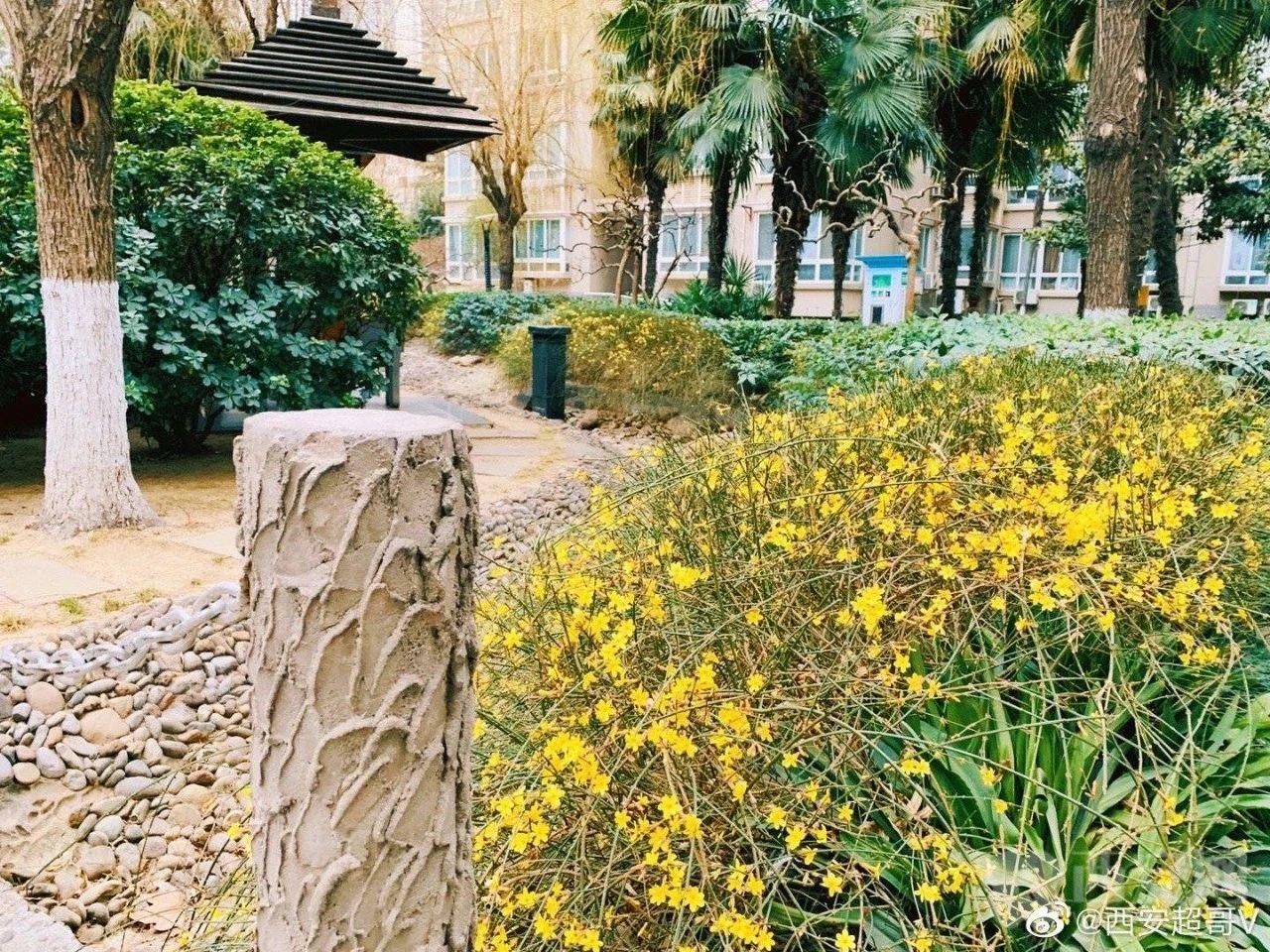 想见你，五彩缤纷的蓝田！「图」