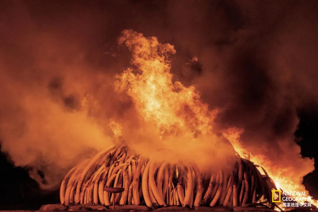 我们的地球很老了吗,地球还能再活几岁