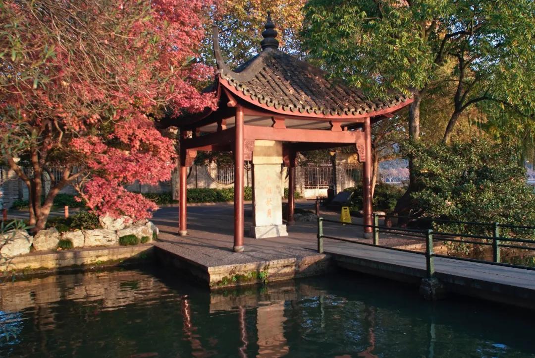 秋季杭州西溪湿地游玩攻略,杭州半日游西溪景区攻略