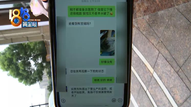 四胞胎都没有胎心胎芽正常吗,四胎无创都没问题五胎会有问题吗