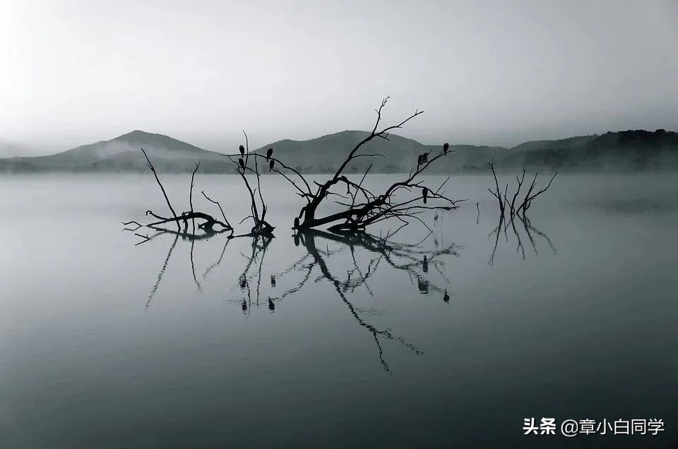 当一切都不尽人意的时候该怎么办,当人生走投无路的时候我该怎么办