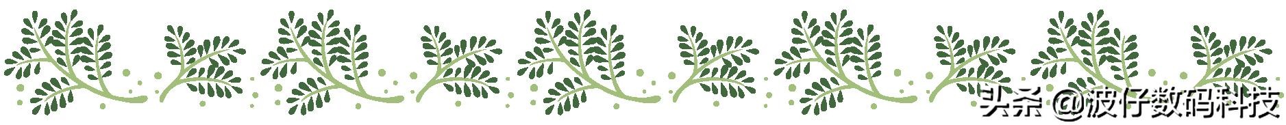 文件夹重命名怎么修改文件框,给文件夹重命名的快捷方式是什么