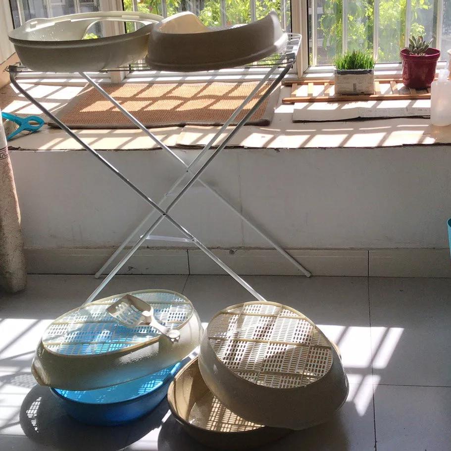 怎样写一份完美的养猫手册,新手养猫手册怎么写