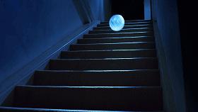 9.1分的大片，揭示了萌宠们的世界