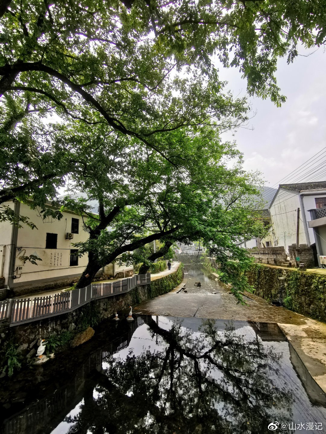 城杨村攻略,东钱湖城杨村游记