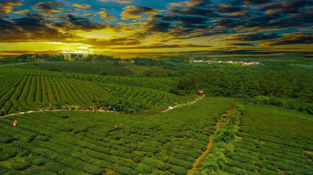 2022高淳固城湖螃蟹节宣传片,第十九届高淳固城湖螃蟹节蟹王