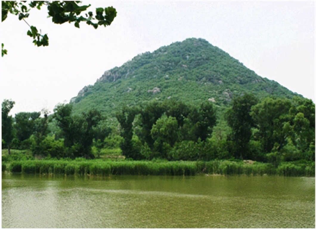 浜旈緳娼姳搴楄,椴佸畨娴庡崡蹇嗘棫