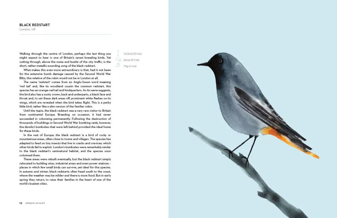 童真稚趣,稚拙童趣天真