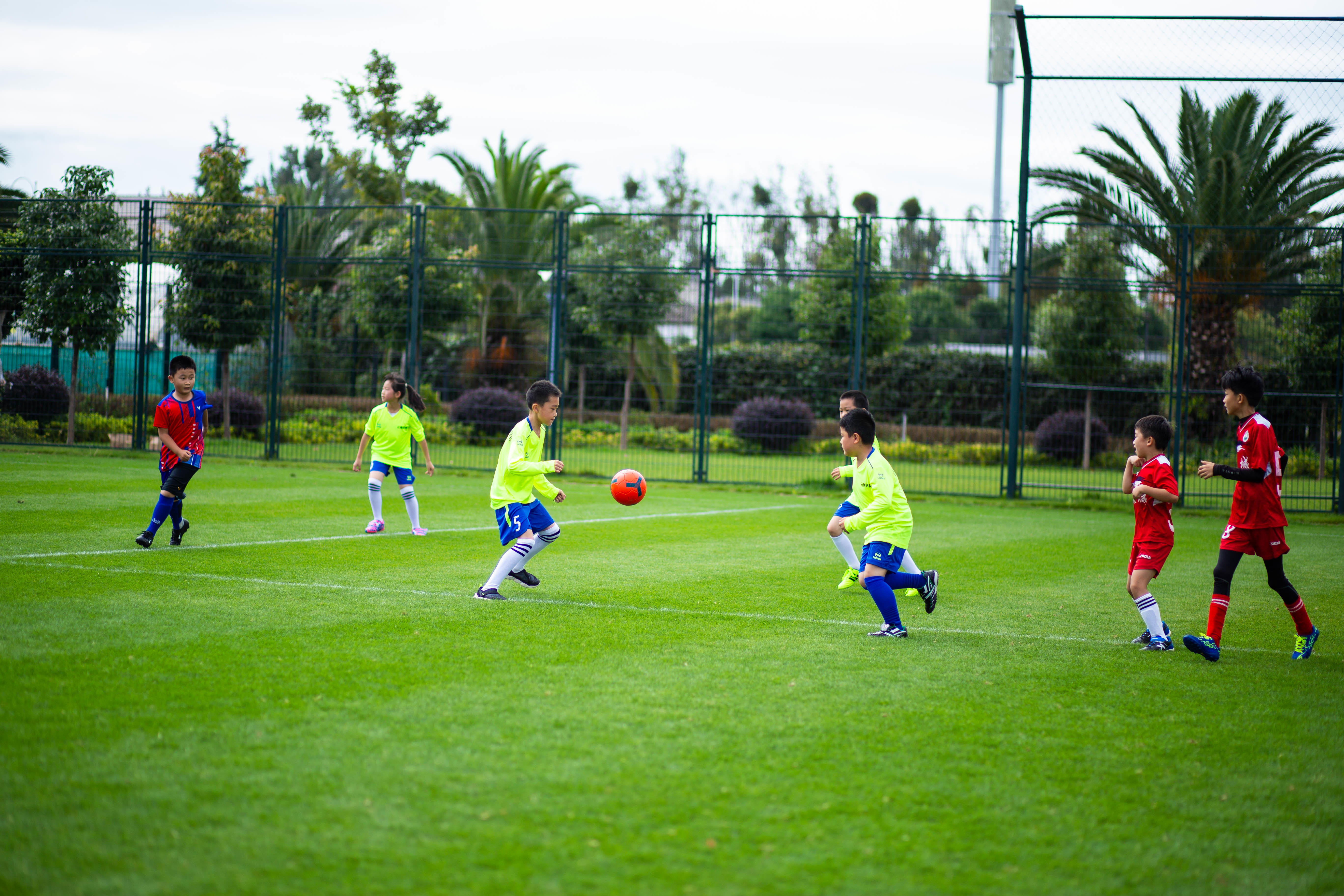 2021届校园足球夏令营,足球之梦夏令营