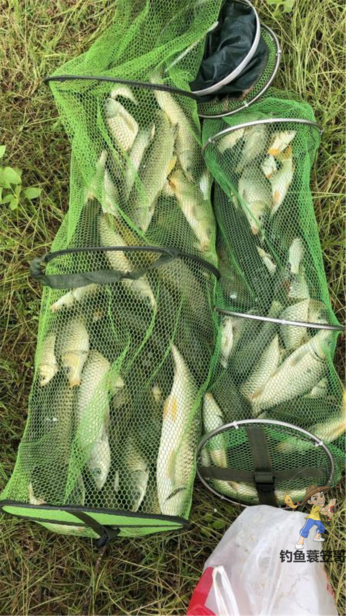 钓鱼技巧野外夜钓的三个选位技巧,钓鱼技巧如何钓黑坑鱼儿