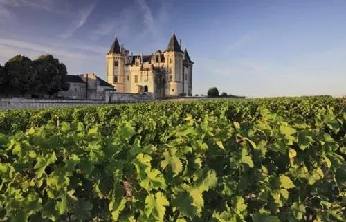 朱卫东：法国葡萄酒AOC等级内涵详解