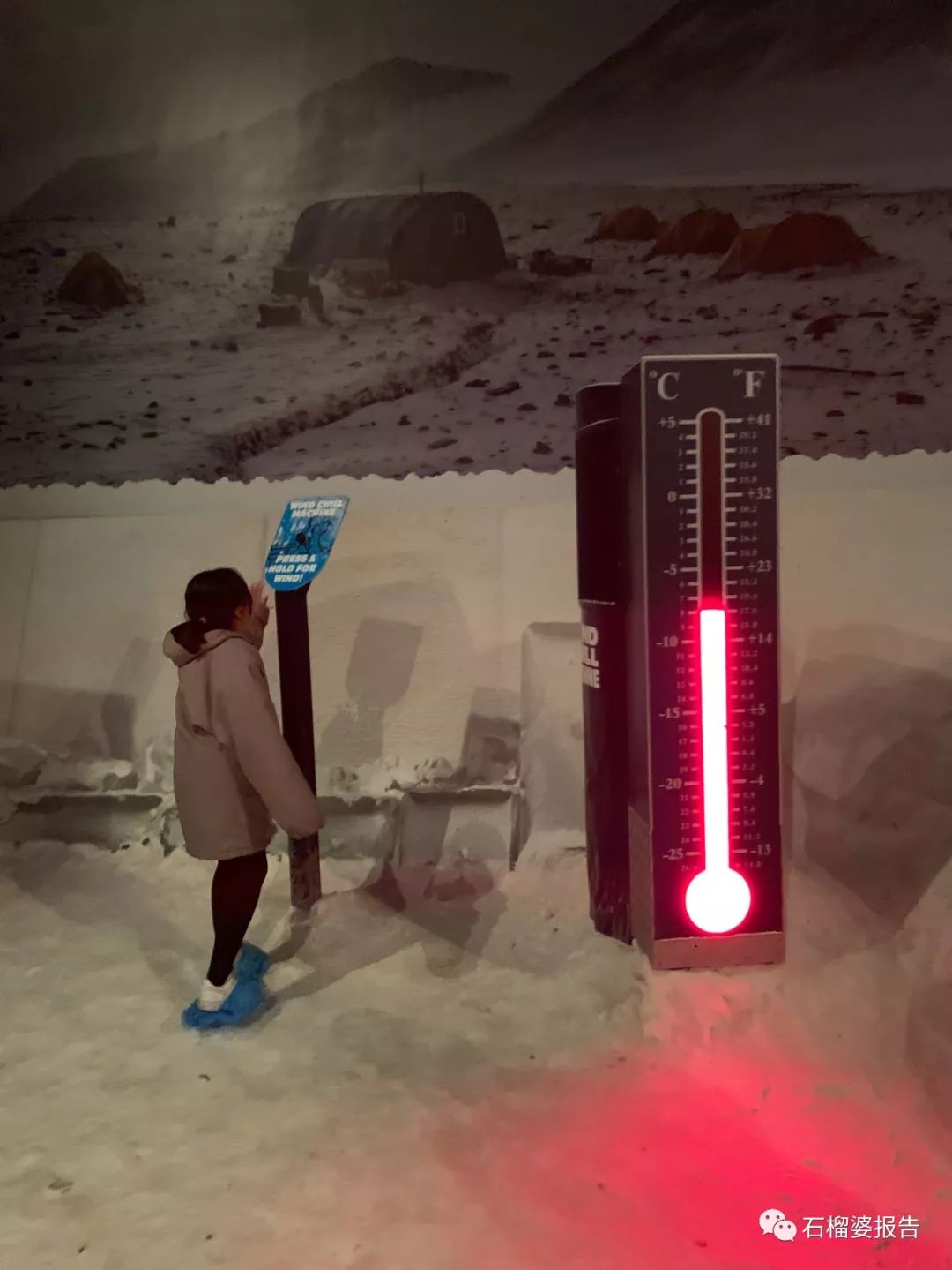 旅行7天,新西兰霍比特人村游记