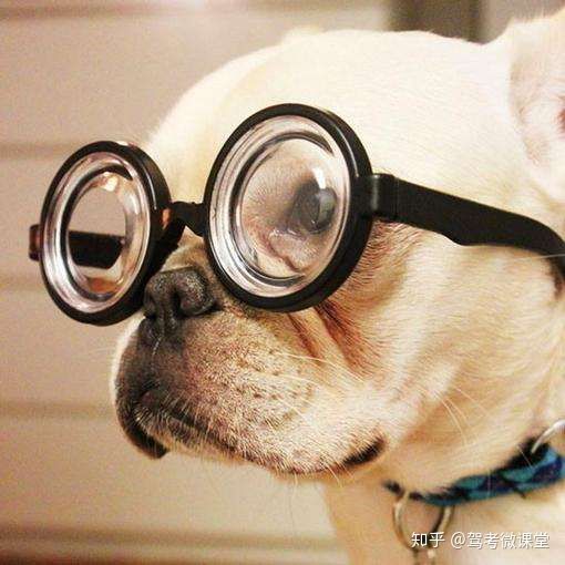 近视能学车么现在,近视可以学驾照吗