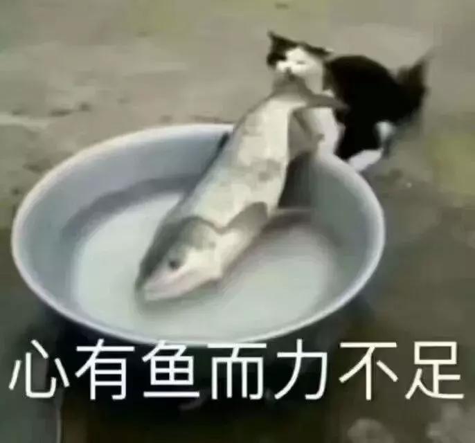 从羞于启齿到大老爷们都抢着用，姨妈巾革新经历了哪些流言蜚语？