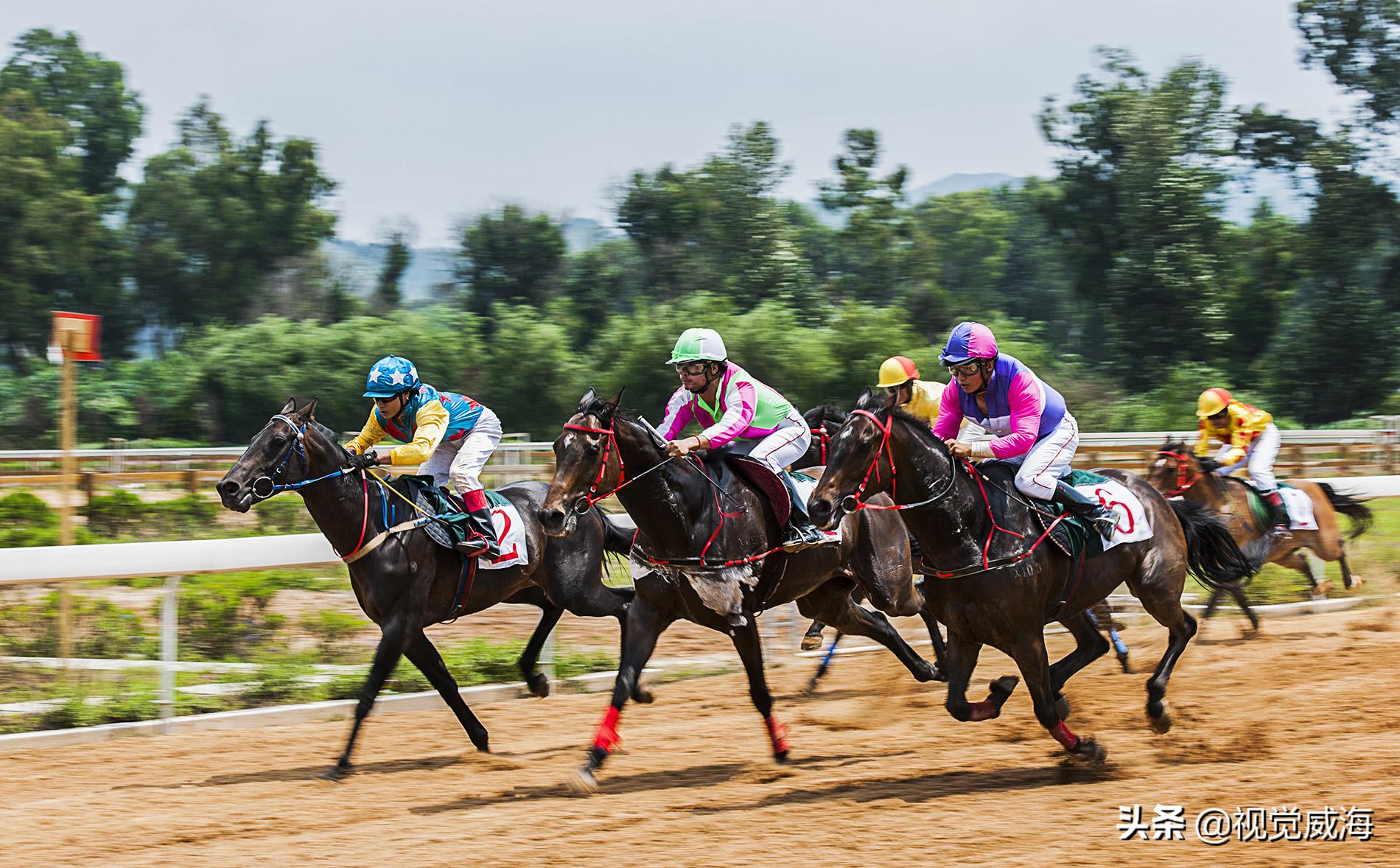 踏马滇池?百万名马乘骑等你来体验