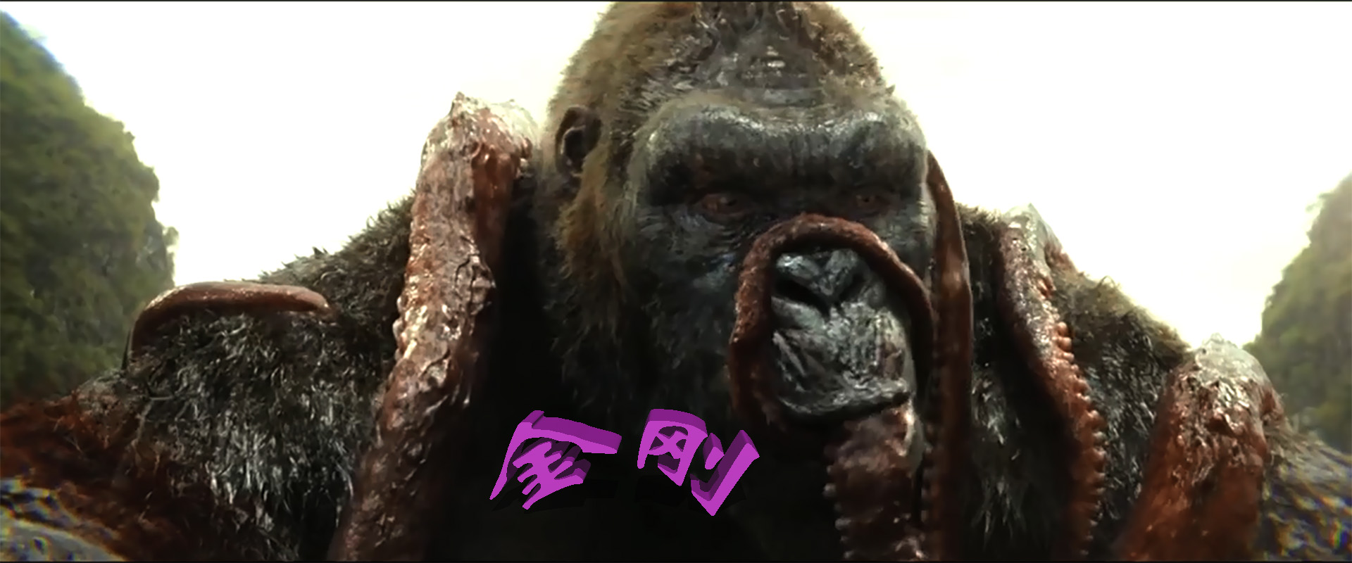 鍏ㄧ悆鍏鍗侀儴椤剁骇鎬吔绉戝够鐢靛奖,鐩樼偣绉戝够鐢靛奖涓殑宸ㄥ瀷瓒呯骇鎬吔