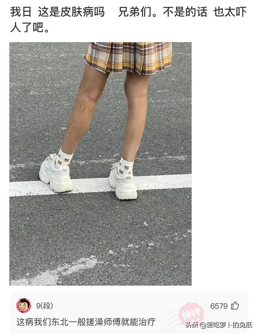 神回复：我也想去,雅迪全款