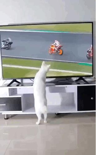 把中间的门店租下来取什么名字好,租下门面不知道取什么名字