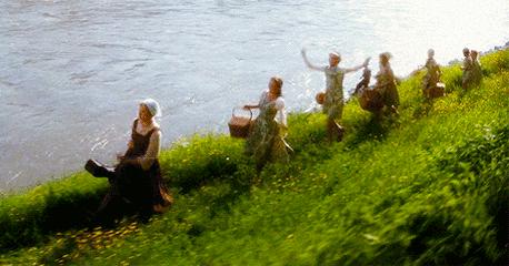 蜱虫在猪身上有什么危害,蜱虫的危害用什么药能除