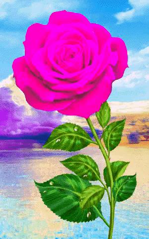 这是我见过最美的风景吗,这是我见过的最美的风景英语