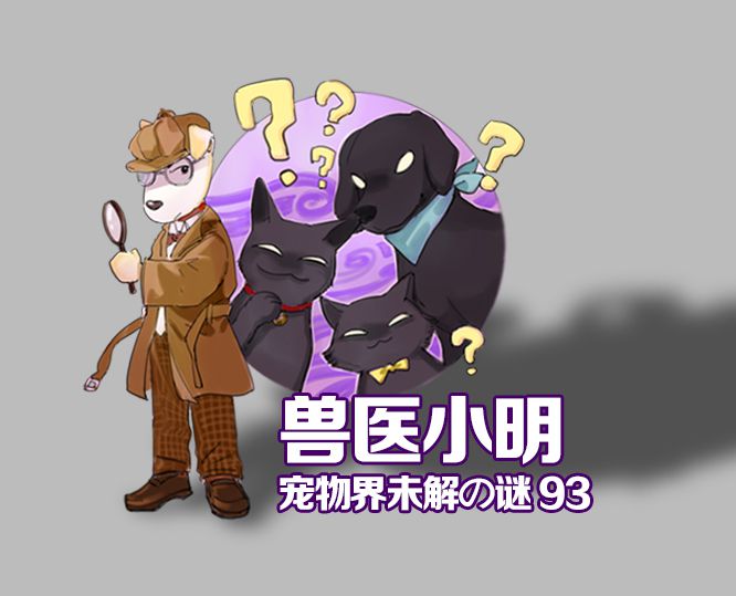 狗到底怎么喂食,狗长期挨饿该怎么喂