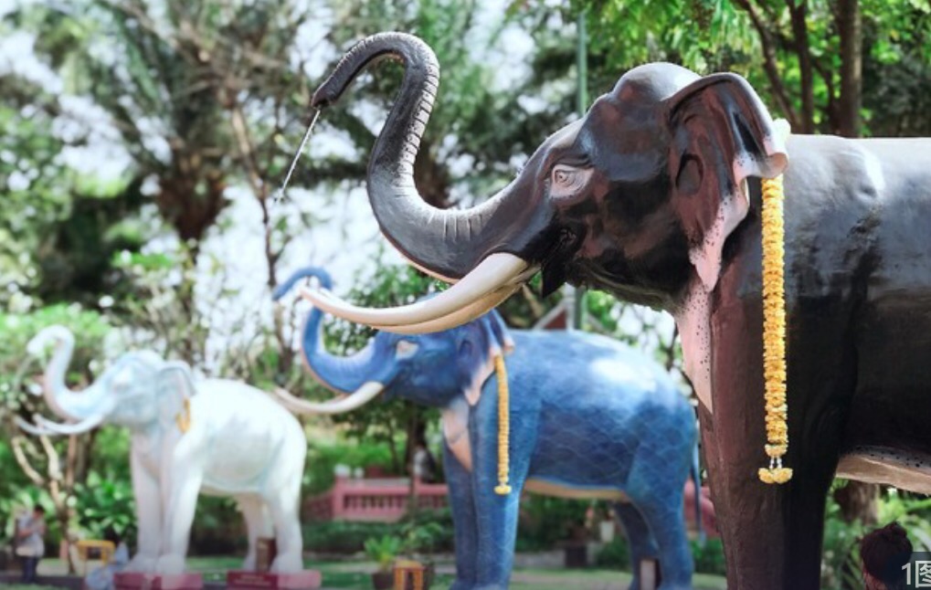 最好的时光遇见你全集,最好的时光泰剧版