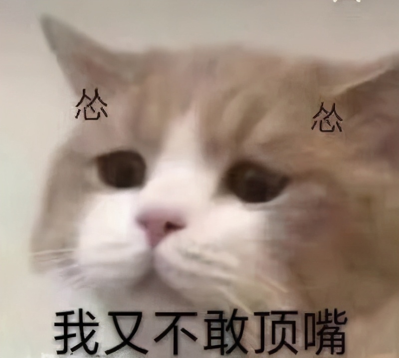 测评最好睡的床垫,十款最好用床垫